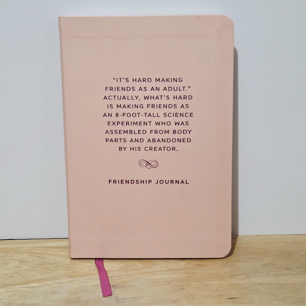 *4 for $30* Pink Friendship Journal for Adults - Self Help
